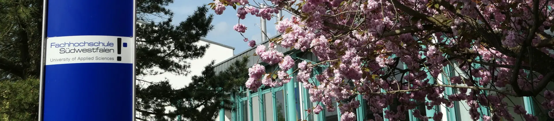 Campus Meschede Lindenstraße. FH Schild und blühende Kirschbäume