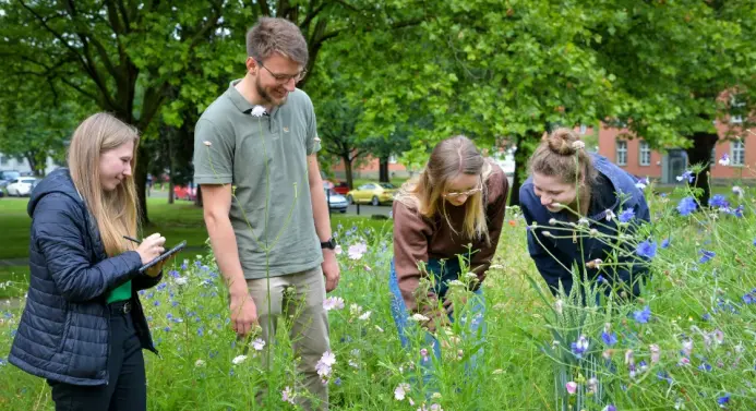 Gruppe Studierender auf blühender Wiese auf dem Campus in Soest